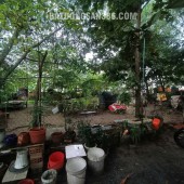 Đất Vuông SHR HXH 300m2 – Tân Hiệp 4 Hóc Môn SS